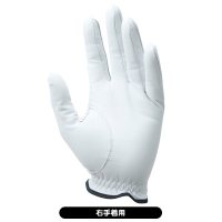 ピン 2023 GL-P2301 ゴルフ手袋 右手着用【クーポン対象】【土日祝発送可】