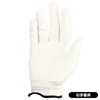 プロジカル PGGL-2349M(RH) ゴルフ手袋 右手着用【クーポン対象】【ポイント5％獲得】【土日祝発送可】