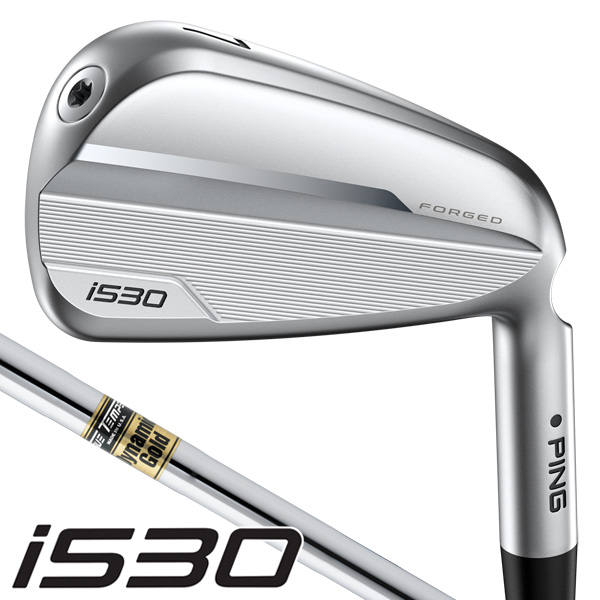 アクセル ゴールドプレミアム6 ドライバー 高反発 ロフト10.5度 右利き用【ポイント10％獲得】【即日発送可】