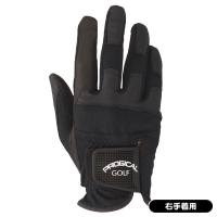 アクセル ゴールドプレミアム6 ドライバー 高反発 ロフト10.5度 右利き用【ポイント10％獲得】【即日発送可】
