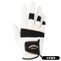 アクセル ゴールドプレミアム6 ドライバー 高反発 ロフト10.5度 右利き用【ポイント10％獲得】【即日発送可】